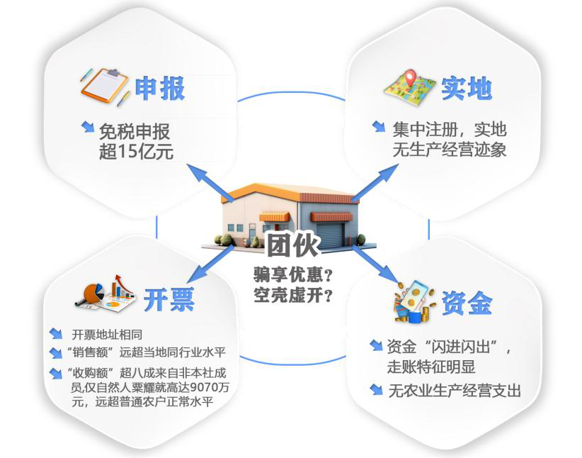 团伙作案骗享优惠 借壳虚开30亿元（配图1）